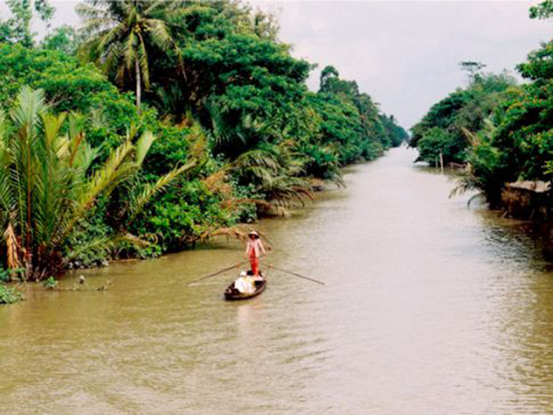 Cha Mẹ tôi - Niềm tự hào của gia đình tôi